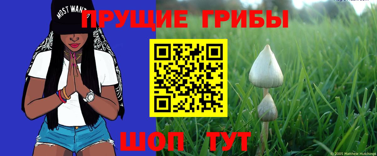 Псилоцибиновые грибы прущие грибы  Вход с VPN  Аксай 
